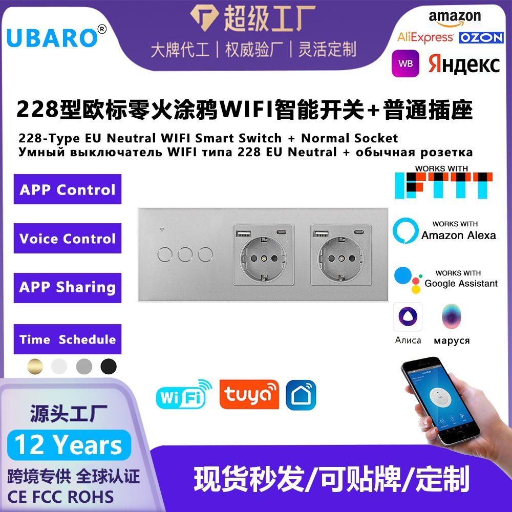 新款228型涂鸦WIFI开关与5V2A