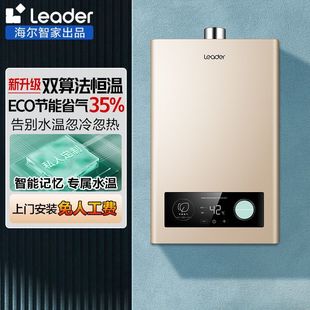 12T Leader 12LVS JSQ22 天燃气热水器恒温强排液化器16升 统帅