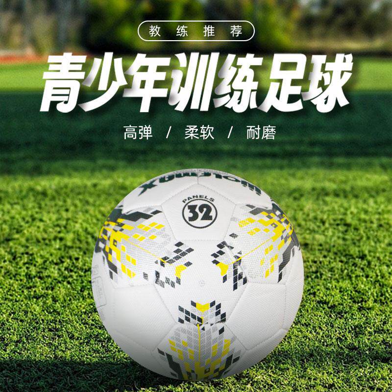 正品4号5号足球儿童中小学生专用幼儿园成人中考专业比赛训练充气