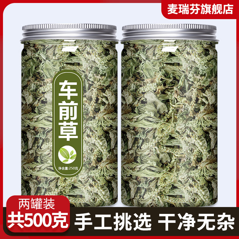 车前草泡水喝的功效与作用新鲜野生车前子中药材正品猫爪草袋泡茶