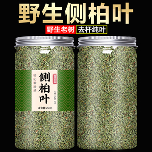 侧柏叶中药材洗发水粉新鲜现采官方旗舰店正品秦岭野生阴干洗头发