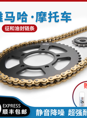 适用雅马哈R1摩托车R3 R6 R7 MT-03 07 09 10 XS900R征和油封链条