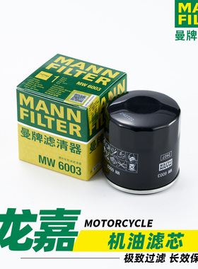 适用于龙嘉XDV250i摩托车VMAX ie300机油格滤芯