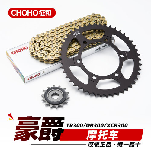 适用豪爵TR300链条三件套DR300 XCR300原装静音牙盘征和油封链条