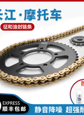 适用于长江Bobbie650摩托车CJ650原厂静音牙盘三件套征和油封链条