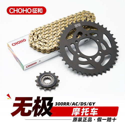适用于隆鑫无极300RR链条三件套300AC DS GY原装牙盘征和油封链条