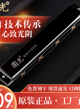 上海国光口琴24孔复音专业演奏级12调ABCDEFG初学者成人学生口琴