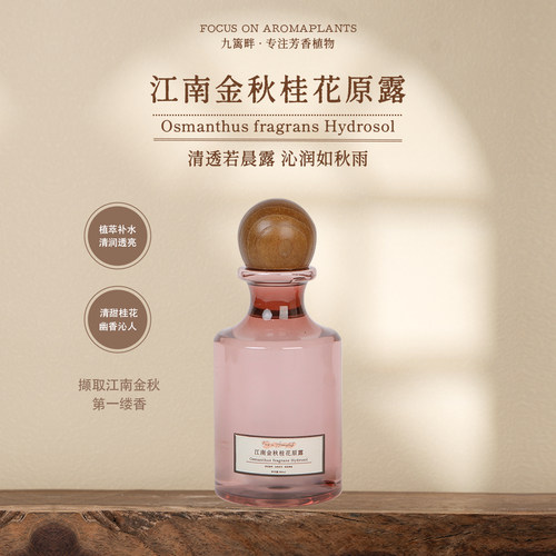 九篱畔原露清甜桂花幽香沁人