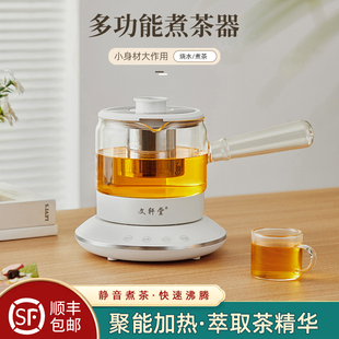 文轩堂白茶煮茶器黑茶办公室迷你煮茶壶玻璃家用花茶壶恒温养生壶