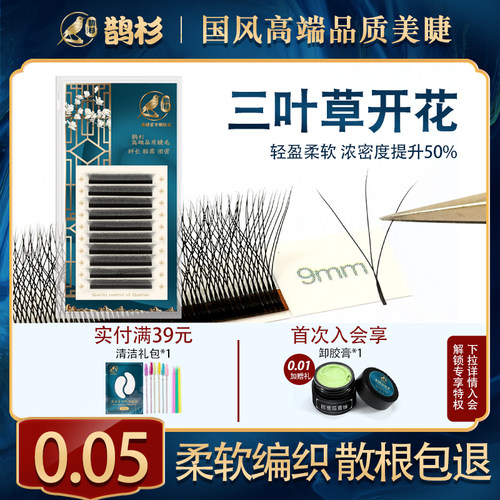 三叶草嫁接睫毛种植超软不散根