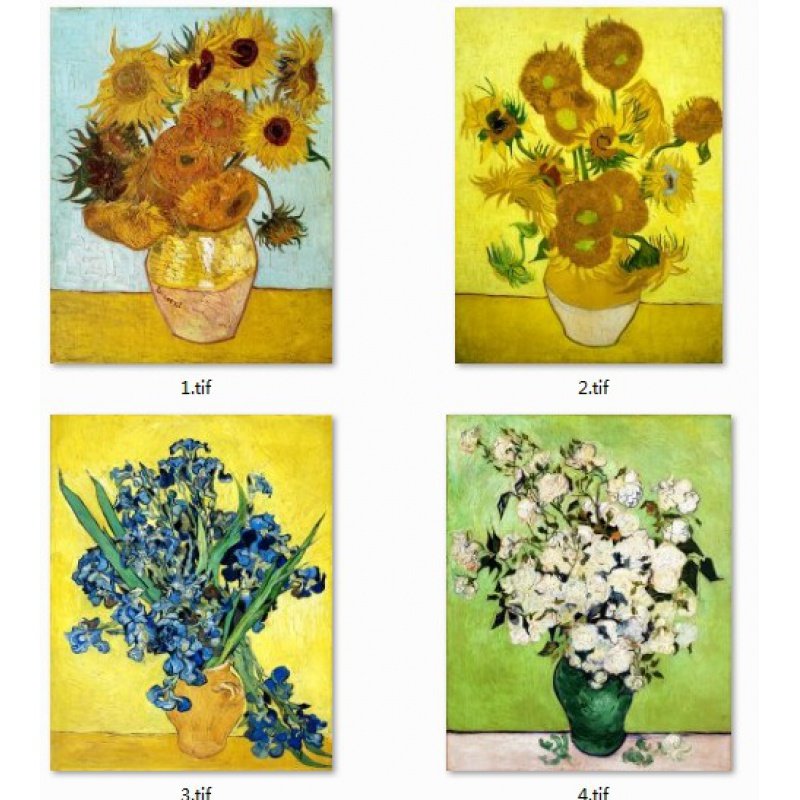 自粘式欧式客厅装饰壁画 向日葵 喷绘画芯世界名画梵高白色玫瑰花