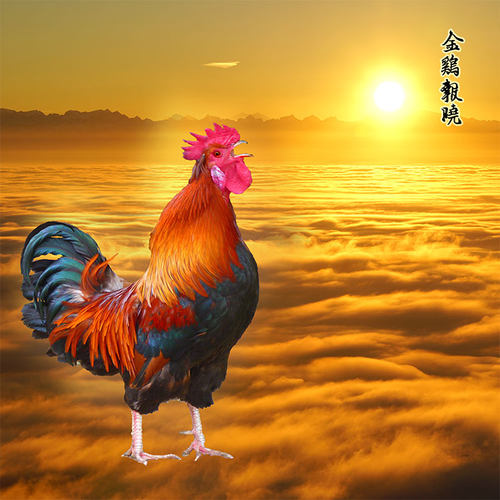 金鸡报晓雄鸡红公鸡墙画