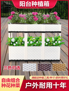 立体阳台种菜盆 双层蔬菜种植箱 花盆长方形花槽屋顶菜园花架特价