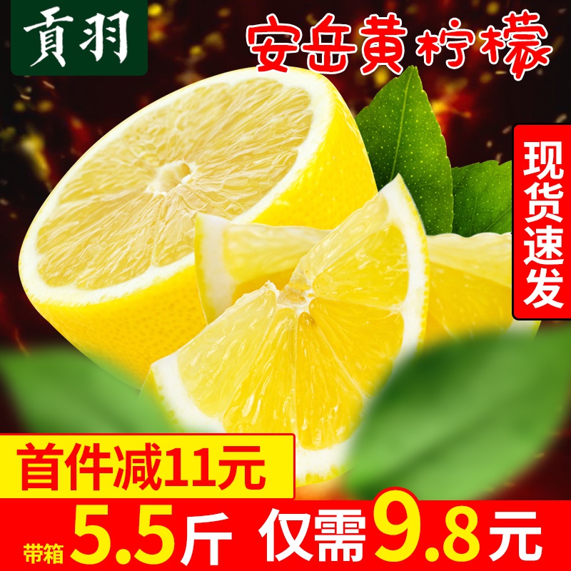 四川安岳黄柠檬 新鲜现摘皮薄 多汁水果精选一级大果5斤 整箱包邮