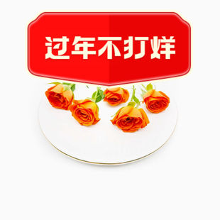 新鲜橙色小玫瑰花朵15朵可食用多头玫瑰西餐酒店摆盘装饰烘焙点缀