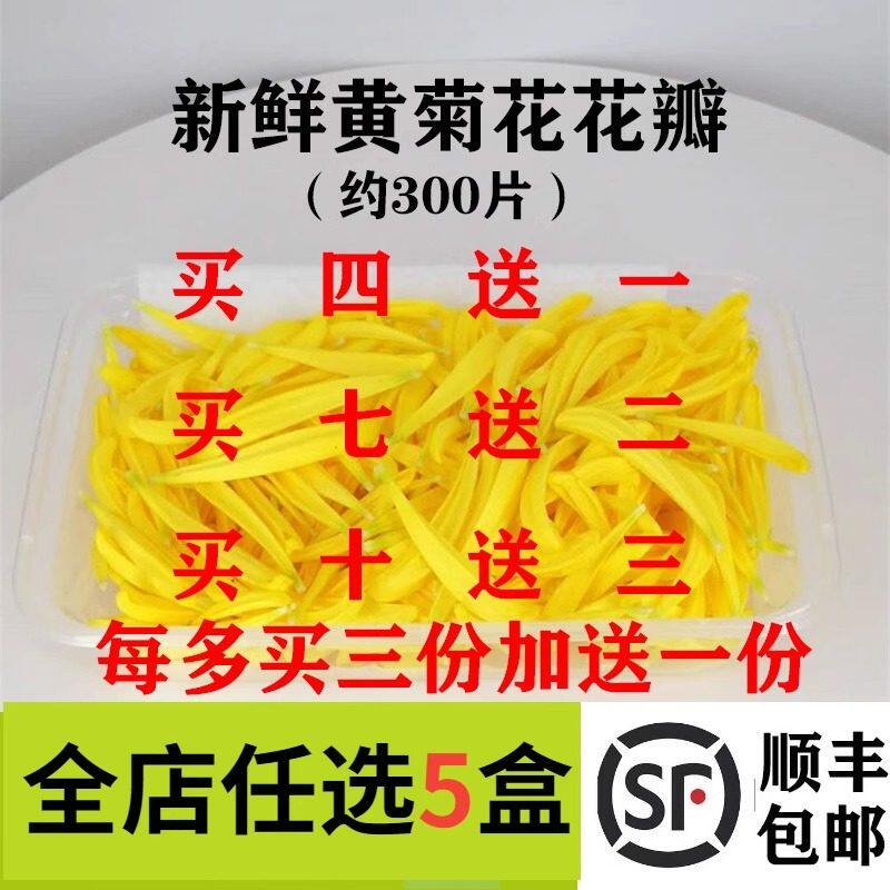 新鲜 黄菊花花瓣 黄菊花瓣 酸菜鱼火锅西餐摆盘装饰菜草菜品点缀