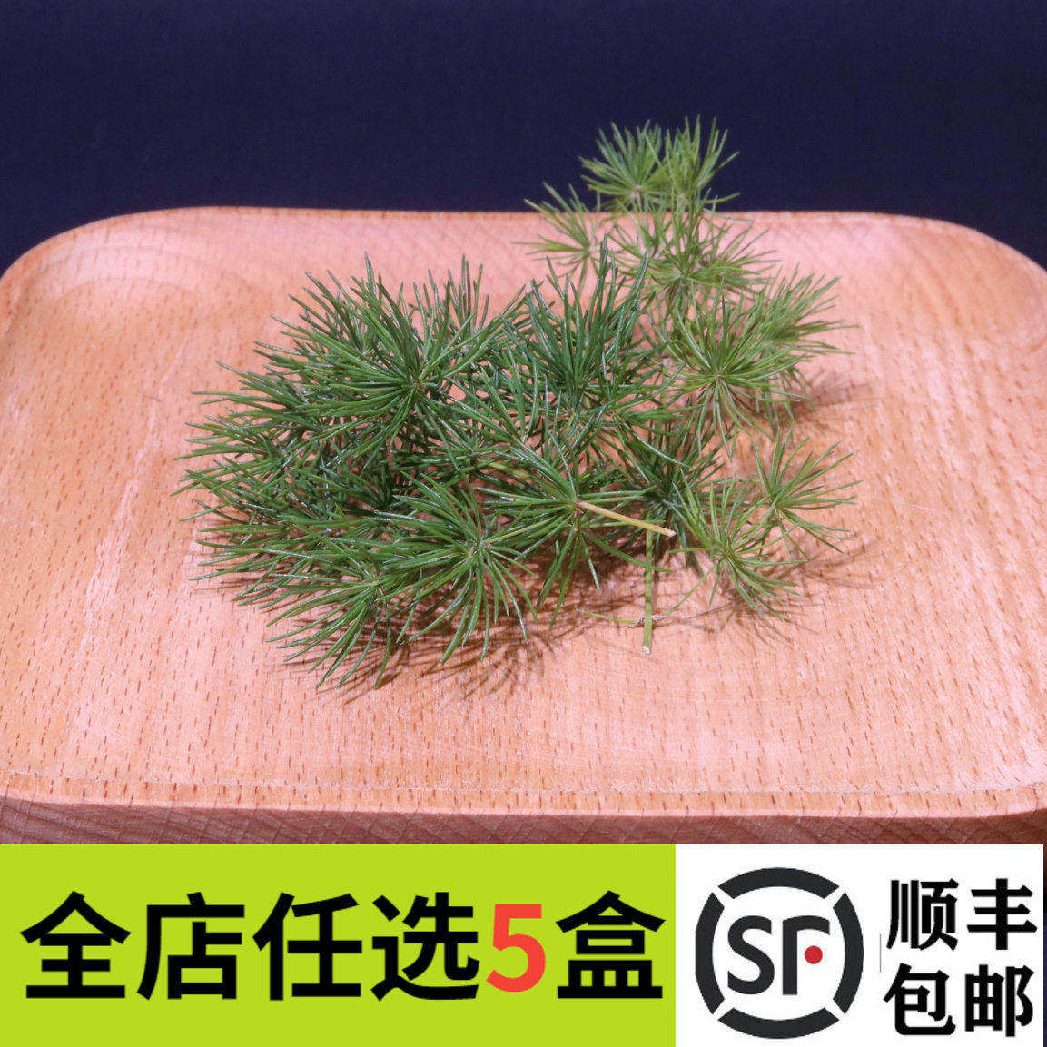 新鲜蓬莱松20支 松叶酒店餐饮牛排蛋糕西餐摆盘装饰点缀草叶子