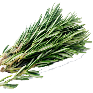 新鲜迷迭香100g 提神醒脑香料 西餐调料艾菊 匍匐迷迭香食用香草