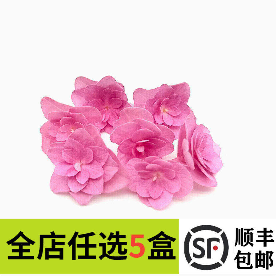 新鲜粉绣球花 重瓣绣球花50朵 酒店西餐冷艺摆盘蛋糕装饰花草