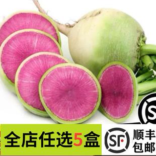 新鲜 心里美500g 水果萝卜 餐饮冷盘西餐摆盘装饰点缀