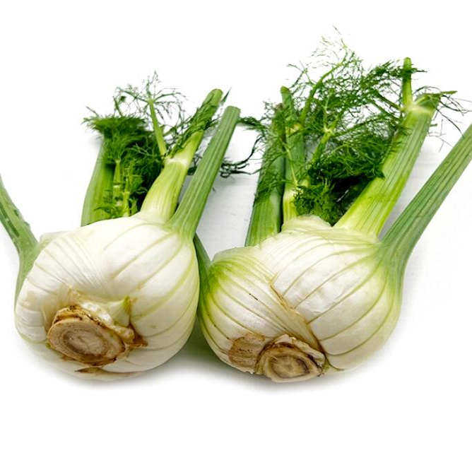 新鲜蔬菜茴香头球茎茴香西餐香料茴香根西餐配菜可炒牛肉 500g