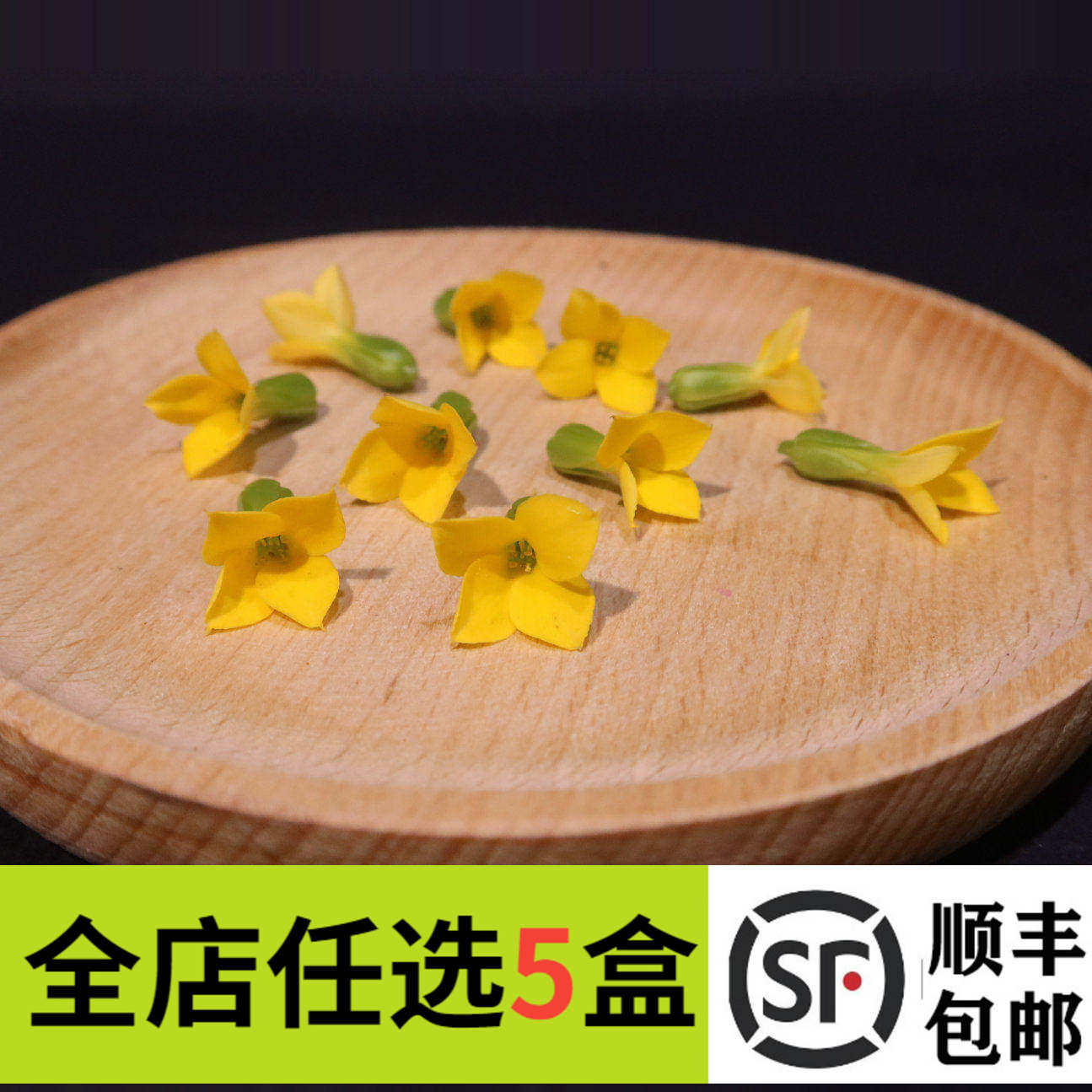 新鲜繁星花50朵黄色四星花单瓣长寿花酒店西餐摆盘装饰鲜花冷艺