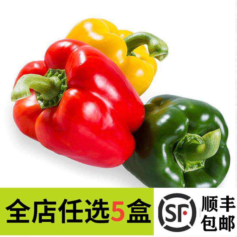 新鲜红黄彩椒灯笼椒圆椒