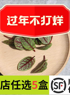 新鲜红脉酸膜叶80片酸模叶红酸模草酢浆草食用花酒店摆盘装饰点缀