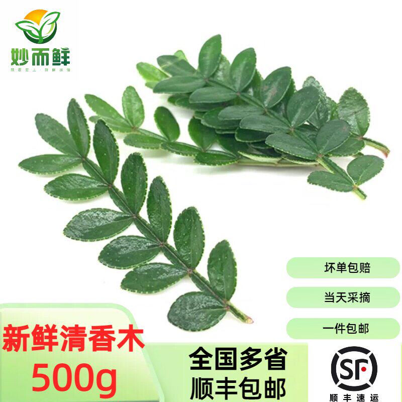 新鲜清香木西餐烘培装饰胡椒木叶子摆盘点缀花草蛋糕烘焙甜品专用