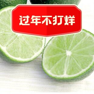 新鲜无籽青柠檬500g 当季水果皮薄多汁切片泡茶奶茶饮品原料