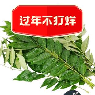 新鲜咖喱叶100g 九里香 爆香增香调料 东南亚香料 咖喱鱼虾蟹调味