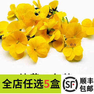 新鲜黄色三色堇 50朵三色花 西餐摆盘菜装饰餐饮摆盘鲜花草