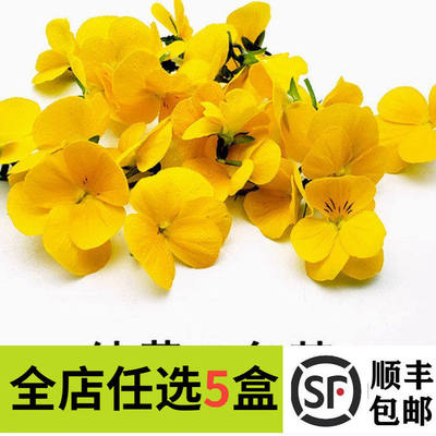 新鲜黄色三色堇 50朵三色花 西餐摆盘菜装饰餐饮摆盘鲜花草