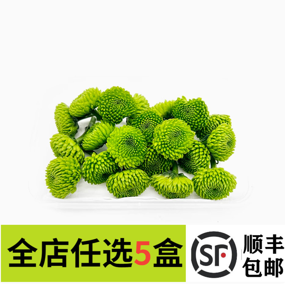 新鲜绿彩菊20朵纽扣菊