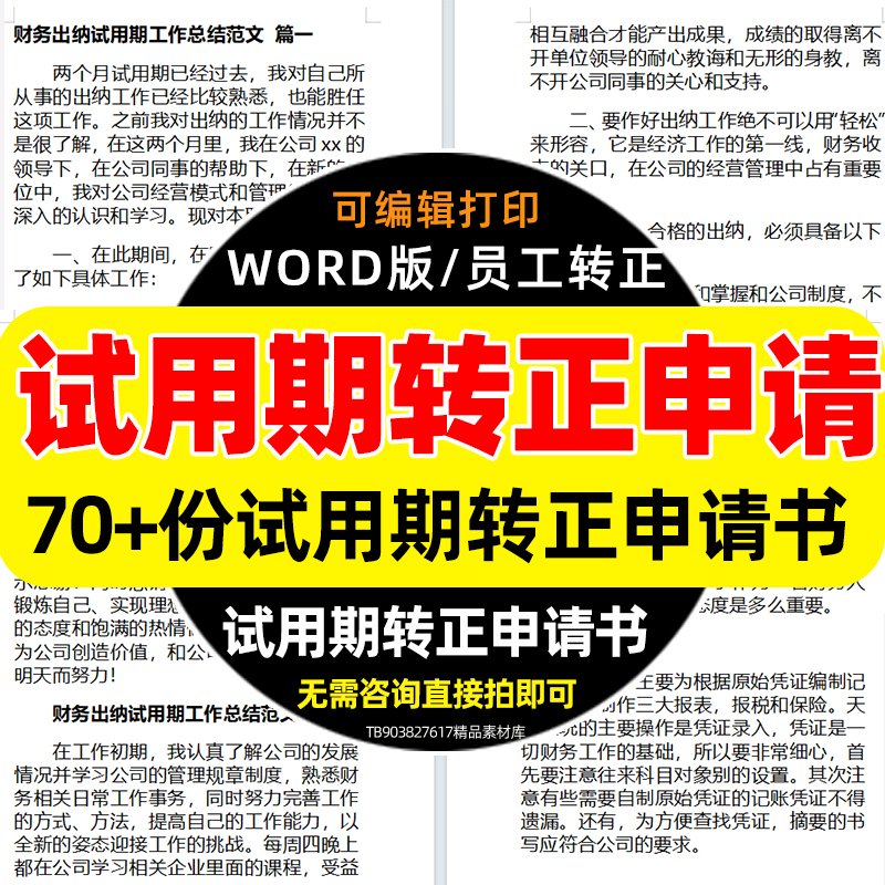 自我鉴定公司试用期新员工转正个人工作总结报告计划模板范本