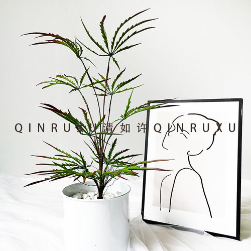 新款仿真植物孔雀木盆栽手感鸡爪枫叶摆件室内橱窗装饰花艺绿植