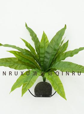 15头鸟巢蕨大把束植物巴西铁蕨叶植物墙配材绿植手感过胶蕨类绿植