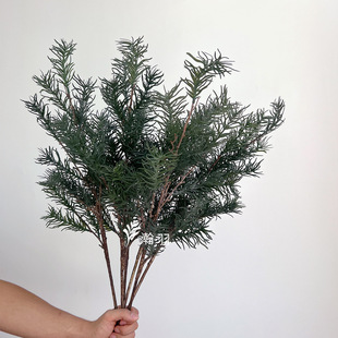 长寿松仿真绿植圣诞装饰塑料室内造景摆件 长青树叶细叶跨境