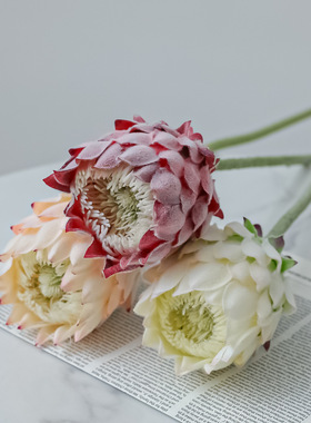 北欧单枝植绒帝王花高品质仿真帝皇兰婚庆酒店橱窗装饰插花材跨境