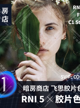 RNI Films 5.0 专业电影胶片色调模拟 暗房商店C1 Styles样式预设