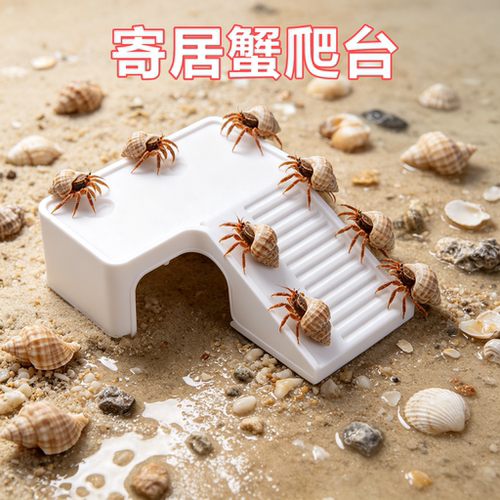 寄居蟹专用晒台爬台饲养缸装饰造景爬宠晒背喂食浮台躲避休息屋