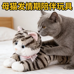 会喵喵叫的毛绒玩具母猫发情期陪伴宠物玩偶50cm公猫交配练习玩