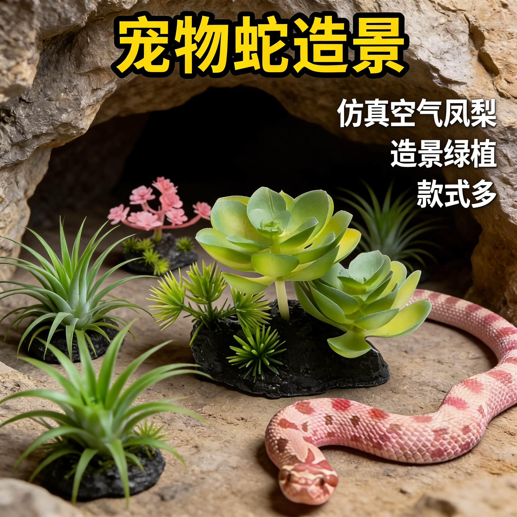 宠物蛇造景绿植真空气凤梨多肉植物爬宠箱绿植蛇缸丰容爬宠用品,宠物/宠物食品及用品,爬宠躲避/造景,淘宝优惠券,粉丝福利购,淘宝优惠卷