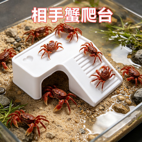相手蟹专用晒台爬台饲养缸装饰造景爬宠晒背喂食浮台躲避休息屋
