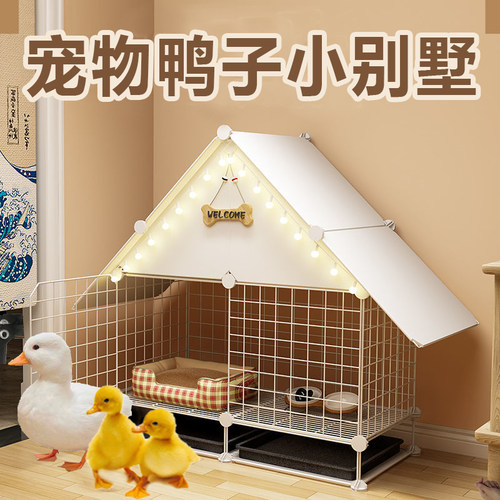 柯尔鸭小鸡子豪华别墅芦丁