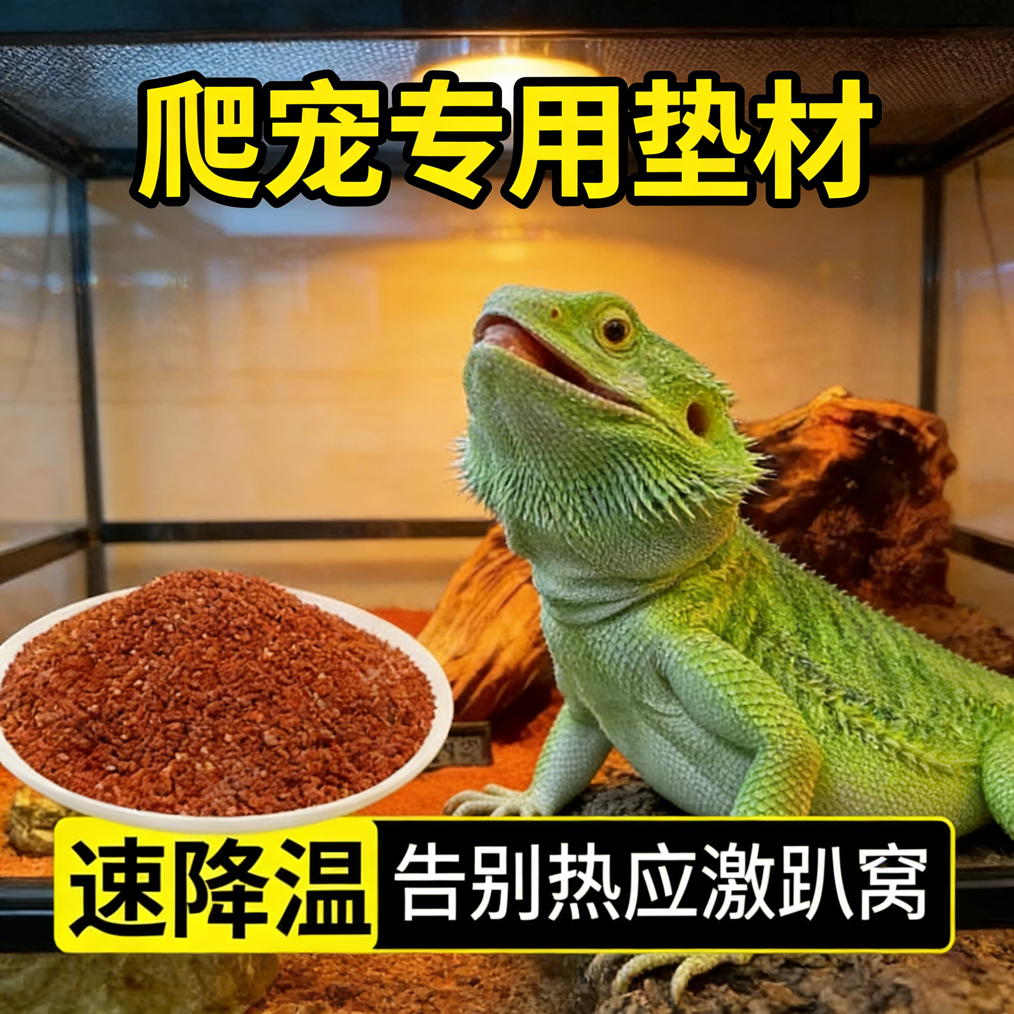 陆龟爬虫沙垫材鬃狮蜥蜴守宫用品爬宠沙饲养沙漠造景装饰钙砂宠物,宠物/宠物食品及用品,爬宠躲避/造景,淘宝优惠券,粉丝福利购,淘宝优惠卷