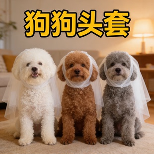 狗狗头套口罩防偷吃面纱舒适透气猫犬专用小狗嘴套防乱吃舔网套