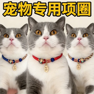 德文猫专用项圈防窒息安全扣除跳蚤防走失驱虫链子猫咪项圈饰品猫