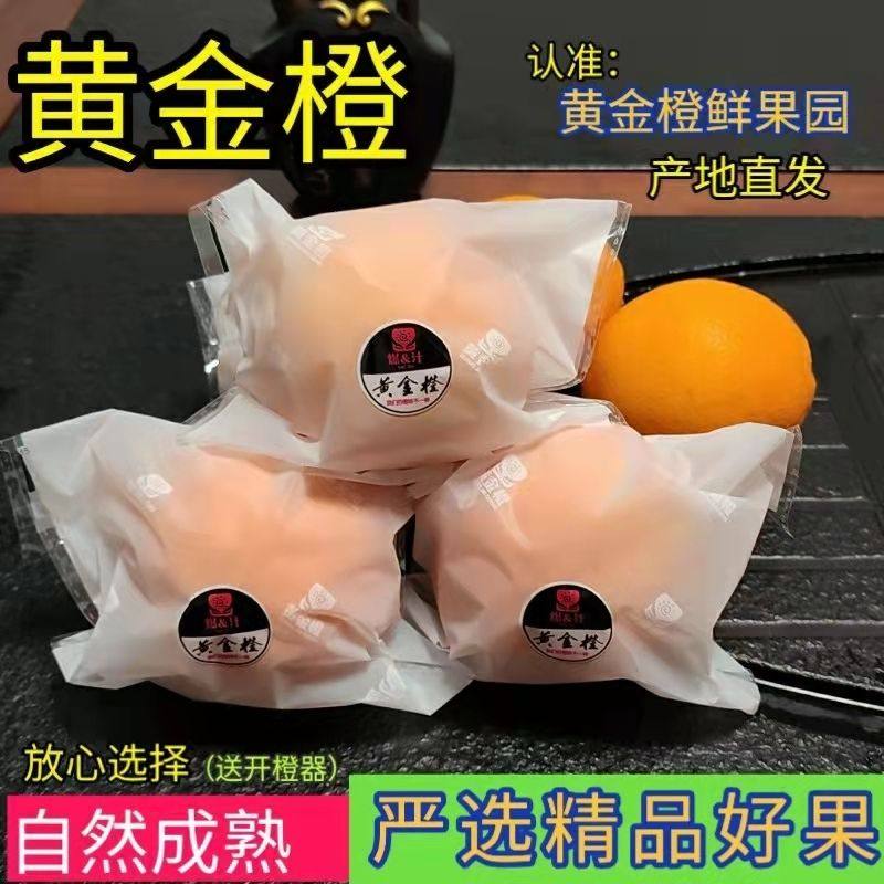 江西赣南橙乡爆汁香甜黄金橙正宗赣南脐橙新鲜水果手掰橙礼盒装