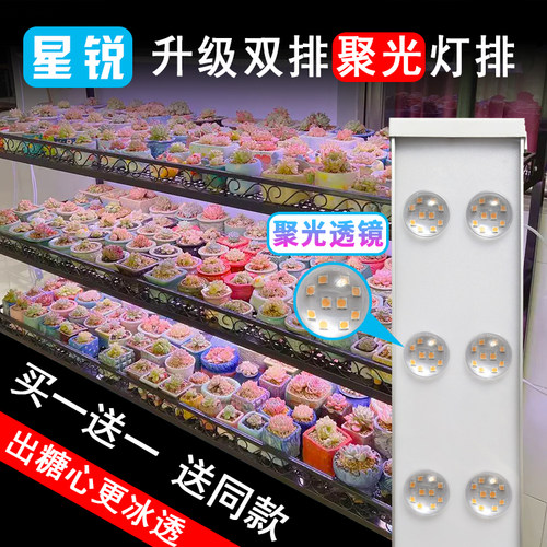 星锐全光谱植物补光灯防徒上色